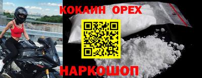 стаф Шелехов