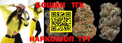 стаф Шелехов