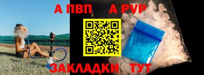 стаф Шелехов