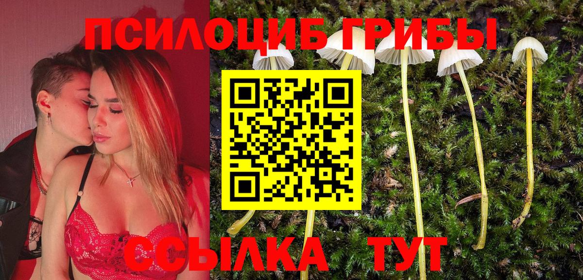 Псилоцибиновые грибы Psilocybe Выкса